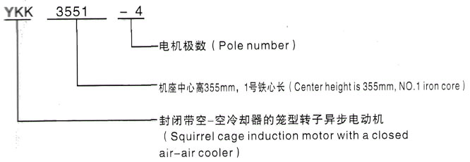 YKK系列(H355-1000)高压YR6301-6三相异步电机西安泰富西玛电机型号说明